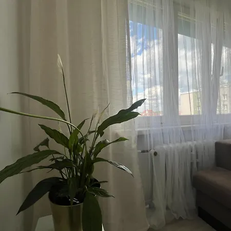 Sunny View * 比托姆