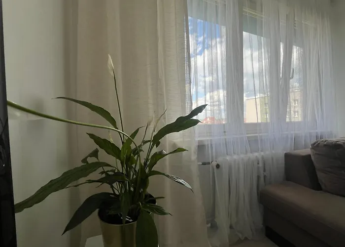 Sunny View * بيتوم